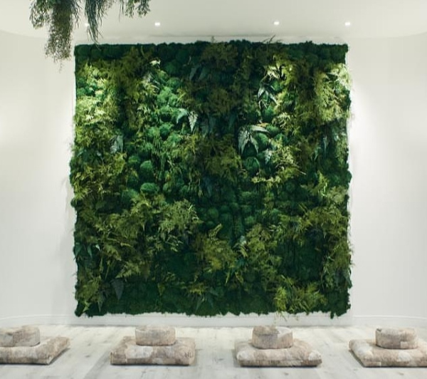 Preserved green moss wall